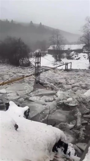 📹 "الجليد قد انكسر..."! الفيضانات الجليدية على نهر زدينيفكا في منطقة زاكارباتسيا في أوكرانيا، 28 يناير. | التغير المناخي Climate change
