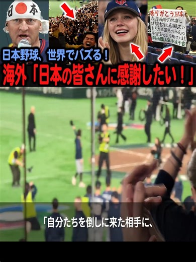 日本の野球ファンに学ぶ敬意と感謝