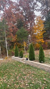 #flurries started in ky #louisvilleky #winterstart #coldweather🥰🥰 | Khapangi Krishna