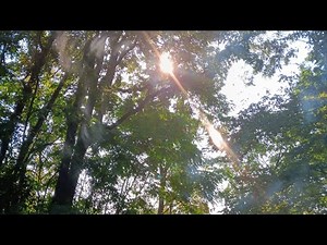 Revelation 11 🔹️