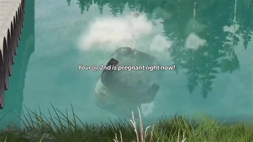 Top TikTok Songs to Elevate Your Playlist