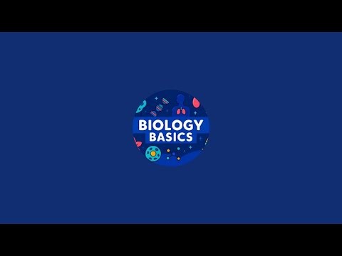 Biology Basics is live