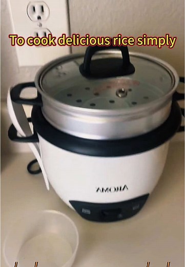 Aroma ARC-743-1NG 6-Cup Pot Style Rice Cooker - White#ricecooker #steamcooking #steamer #foodsteamer #cooker #aromaricecooker #spotlightfinds #tiktokshopfinds #TikTokShop