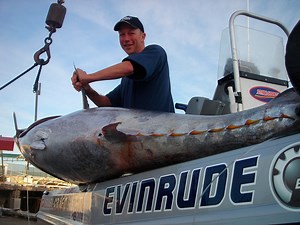 There's been a bit of talk about Matts tuna exploits recently, but Matt catchign big tuna in New Zealand go back 20 years, but here's Matts first go on a handline! It's a classic! | Ultimate Fishing
