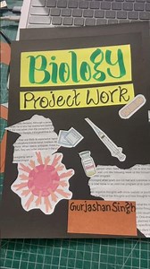 Cover Page Ideas for Project Files