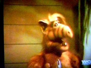HALLOWEEN ~ALF TRICK OR TREATING FOR CATS~ 1987