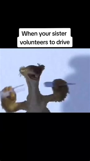 Funny Sister Driving Memes and Comedy Videos Compilation