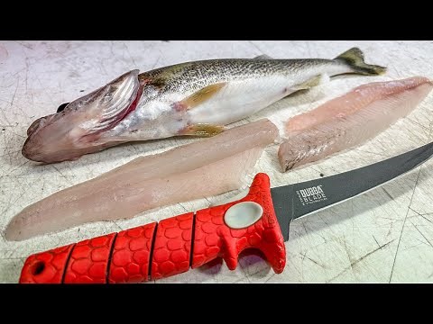 How To Get The PERFECT Walleye Fillet EVERY Time!