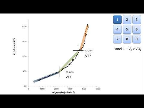 CPET Interpretation - Panel 1 of Wasserman 9 Panel