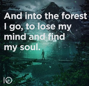 Into the forest I go... | tentree