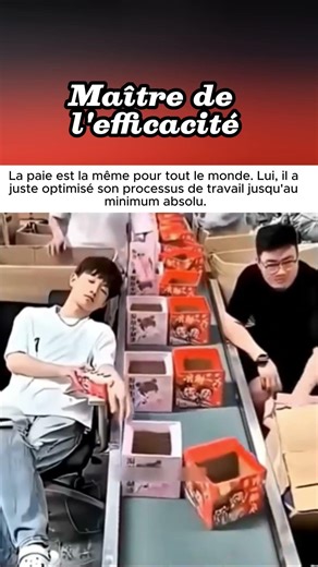 Maître de l'efficacité