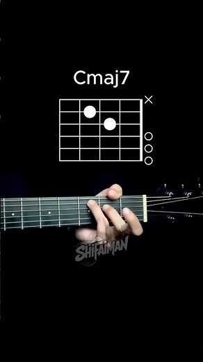 Yusuf Cat Stevens - Wild World | Intro