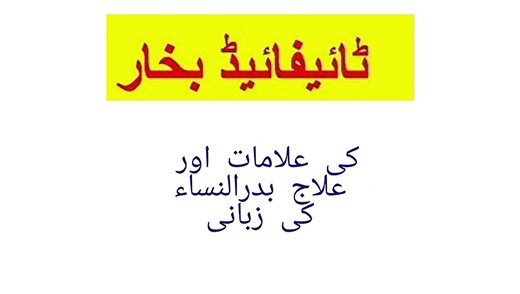 Home Remedy for typhoid fever - video Dailymotion