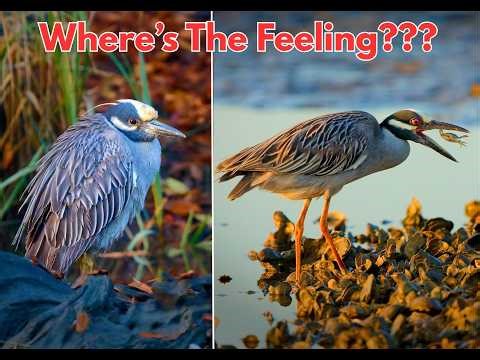 Photography Has a Serious Problem!