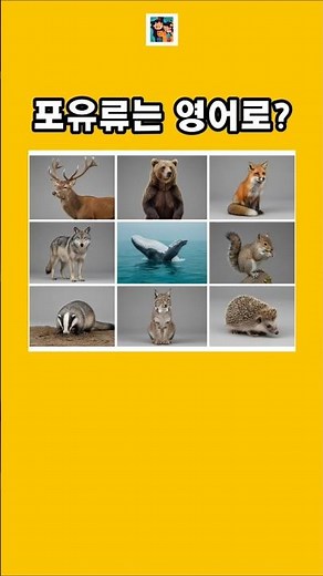 동물 분류 영어단어 (Part 1) Animal Classification Terms Quiz#동물분류 #animalclassification #영어공부 #영어단어 #동물