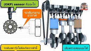 210K views · 3.8K reactions | (CKP) Sensor คืออะไรมีความสำคัญยังไงทำไมถึงทำให้รถดับสตาร์ทไม่ติดถึงติดก็ติดยากพอขับไปสักพักก็ดับกลางอากาศ | DOME Automation service | Facebook