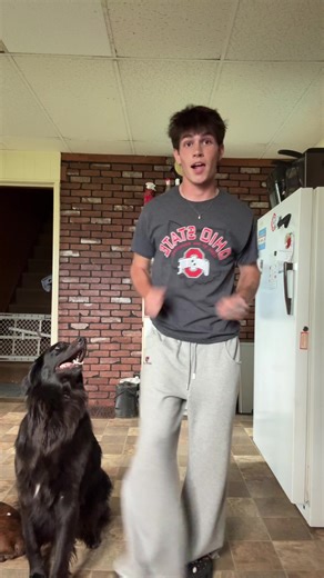 shadow is my manchild #fypviralシ #manchild #dancetrend #fyp #trendingaudio #linedance