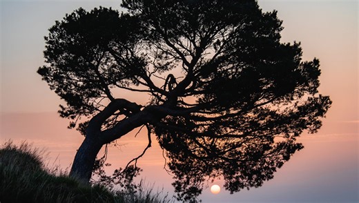 Improve Your Photography With These Helpful Tips