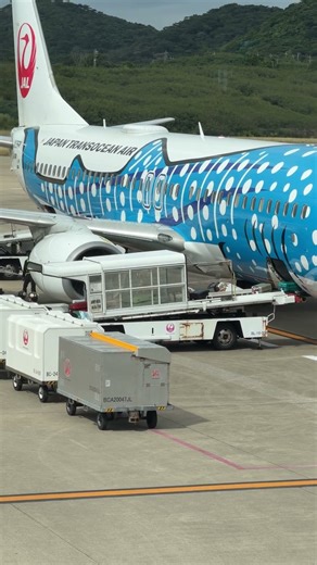 JALジンベエザメ機体！