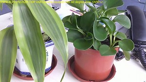 ELP OEM 720P  UVC Free Driver HD Mini Linux USB Webcam with Mini Box case for ATM Machine ELP-USB100W03M-BL36