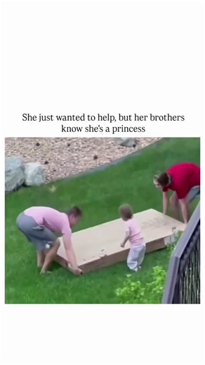 Edits Community on Instagram: "Viral Family Clip (Short Video) 📍Where to Watch: Instagram / Facebook / YouTube (reels & shorts) ⭐Ratings: Internet Verdict: ⭐⭐⭐⭐⭐ (Too cute to rate) 📖Short Summary: A little girl insists on helping her brothers lift a heavy box. She’s clearly not doing much lifting—but the confidence is royal. The internet crowns her a princess for effort, vibes, and emotional support. Cast, Genre, Rated: Unknown family Wholesome, Comedy, Family All Ages #PrincessEnergy #Emotion