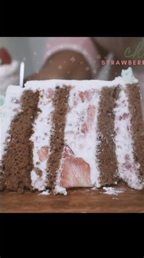 a cozy winter cake. #christmasdessert #holidaybaking #chocolatecake