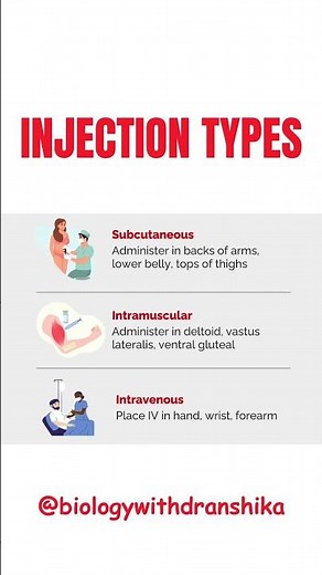💉 Injection Types Made Simple! #injection #types #nursingfundamentals #healthcareeducation #doctor