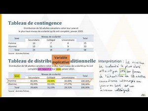 Conditional Distribution Table