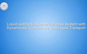 ‪Liquid Gating Membrane for Multiphase Separation under Constant Pressure Condit