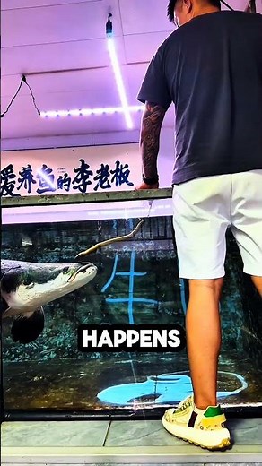This Fish Has The Fastest Reaction Time In The World