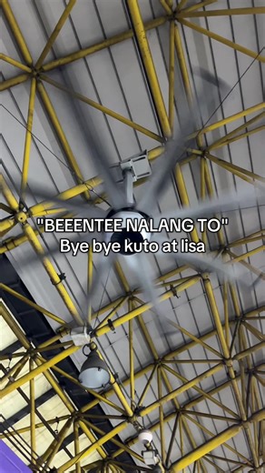 Shaheen Shampoo: Effective Solution for Lice Problems