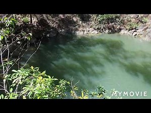 5 Things to Do in Cardwell, Queensland - EXPLORE YOUR OWN BACKYARD 🇦🇺