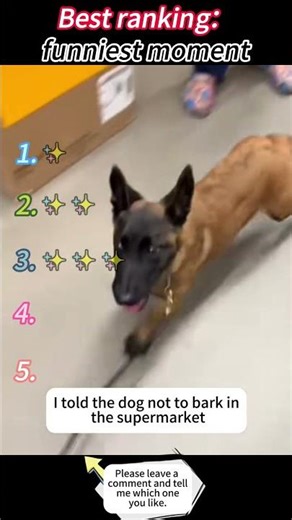 Best moments ranked #ranking #shorts #shortvideo #best #funny #viral #trending #trends #fypシ゚viral