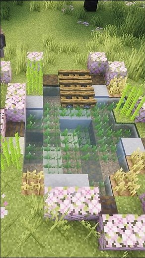 How To Build A Pond In Minecraft