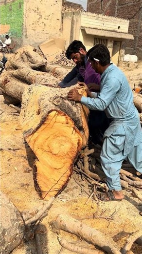 Precision Wood Slicing ⚙️ High-Speed Cutting Machine Shaping Raw Timber | Maker Zone #wood #woodwork