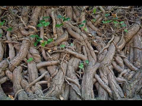 South Church Worship - 2/22/26