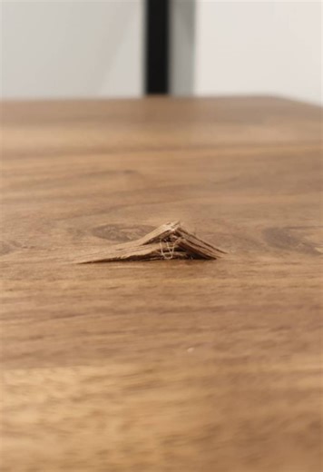 How to repair damaged timber tabletop? - Bunnings Workshop community
