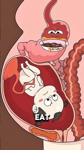 Why Pregnancy Can Cause Constant Hunger and Morning Sickness ⚠️🤰..!!#e2dhealth #animation #2dshow