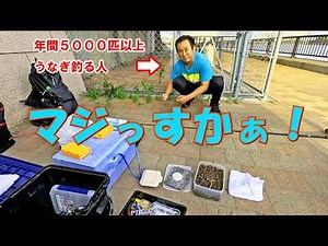 年間５０００匹以上うなぎを釣るプロとうなぎ釣りしてみた！ 【うなぎ釣り】