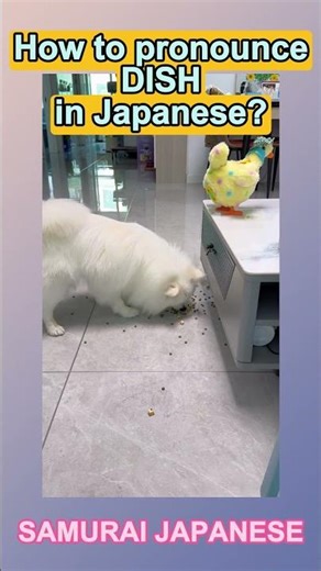 食いしん坊？💩まで食うの? How to say in English?#english #japanese #dog