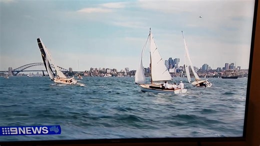 2.9K views · 54 reactions | We had a glorious day on Sydney Harbour today for the SASC Centenarian Rally 2025, which was led by Tall Ship James Craig. We featured on Channel 9 news! www.shf.org.au | Sydney Heritage Fleet | Facebook