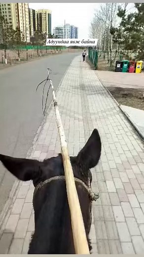 158K views · 1.9K reactions | Монгол Адуучин Mongolian Horseman on Reels | Facebook