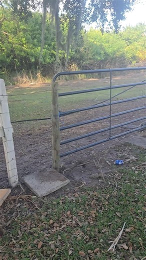got another gate installed again thanks terry, this will allow easier access to the paddock and hopefully avoid getting jammed by one of the rams