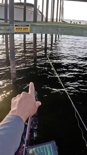 Keep out signs ALWAYS mean LOTS of crappie! #reelsvideoシ #kidkrappie #bnmpoles #contentcreatorlife #CedarCreekLake #fall #tips #october #crappie #followme | KidKrappie