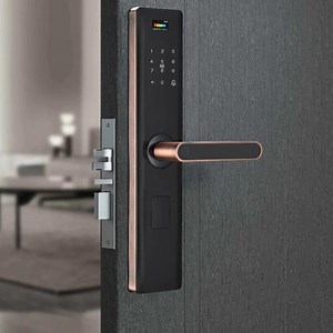 [Hot Item] One Fingerprint Open Color Screen Smart Door Lock