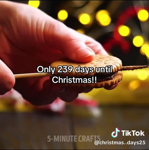 Countdown to Christmas: Only 240 Days Left!