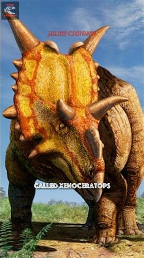 Xenoceratops in 60 seconds | DinoLexicon