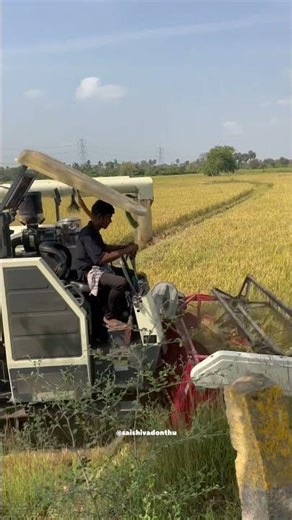 First day field🥰 #automobile #farming #youtubeshorts #agriculture