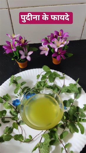 पुदीना के फायदे /लिवर को साफ करने का तरीका liver Detox tips pranut sagar ji maharaj's #shorts #viral