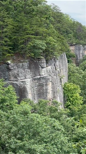 258K views · 11K reactions | Endless Wall Trail at New River Gorge National Park and Preserve. #NewRiverGorge #newrivergorgenationalpark #endlesswall | Travel Like A Tourist | Facebook